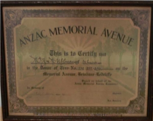 Anzac Memorial Ave